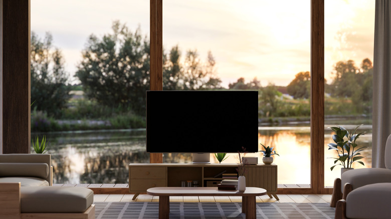TV in front of floor to ceiling windows