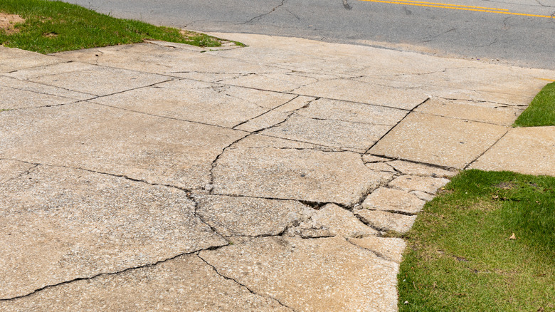 A concrete driveway covered in cracks.