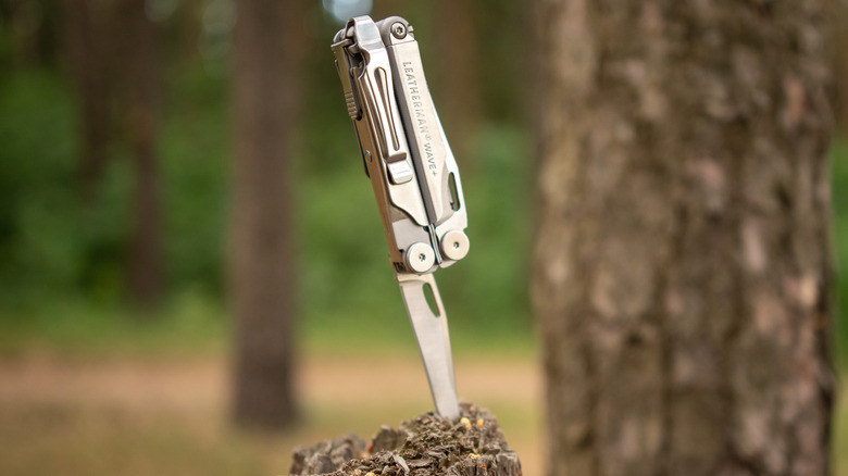 A Leatherman Multi Tool in a tree stump