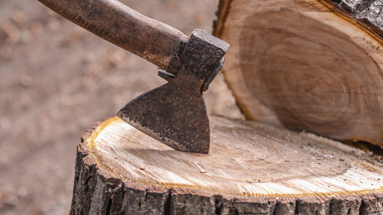 An axe sticking out of stump