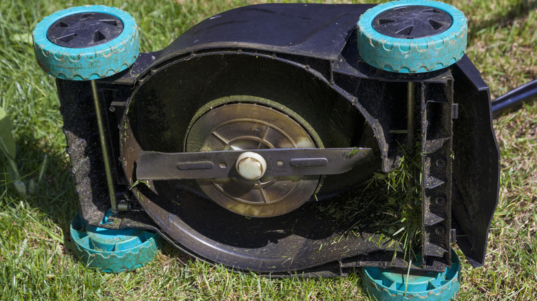 A close-up of a lawn mower from below, with a focus on the blade
