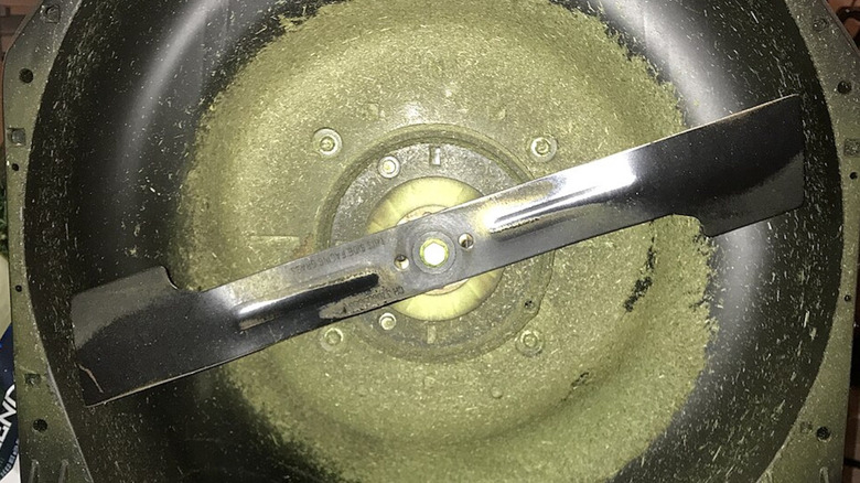 The underside of a lawn mower with rotary blades covered in grass