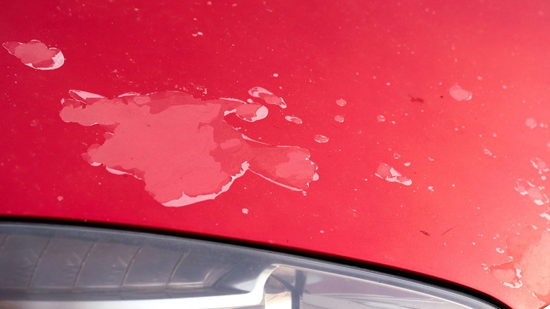 Sun faded paint on a car