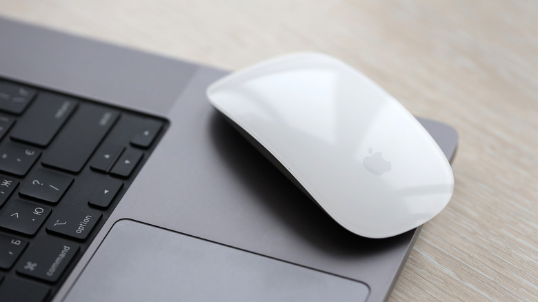 A close up shot of the Apple Magic Mouse