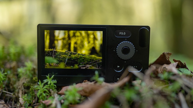 The rear side of the Sigma BF, partly concealed by moss and leaves, with the display showing a moss covered log in the forest.