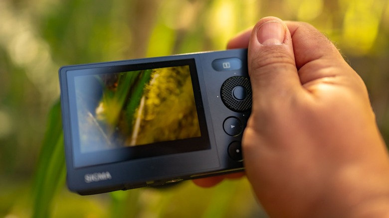Sigma BF held in a hand with foliage shown on the display.