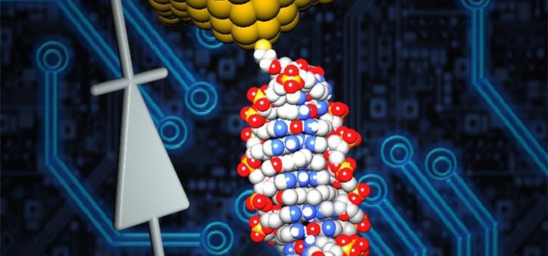 dna-diode