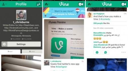 vine1-580x339