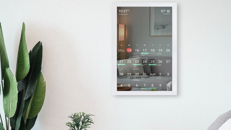 DAKboard mirror display on white wall next to house plant