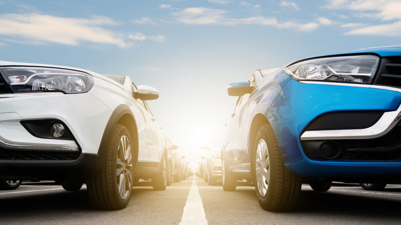 cars parked in two straight lines 