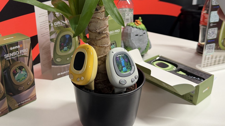PlantSenso Pro units in a plant pot