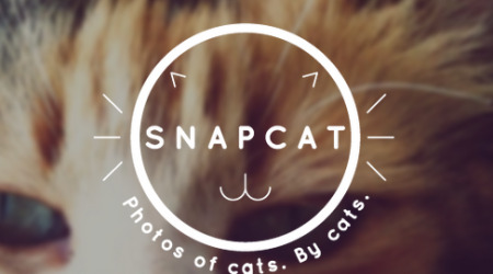 Snapcat