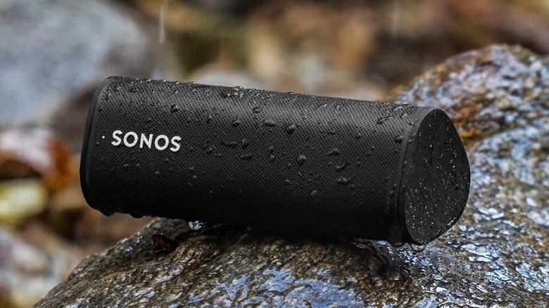 Sonos Roam SL on rock