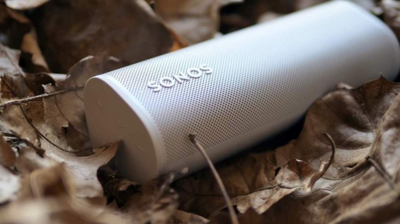 Sonos Roam in leaves