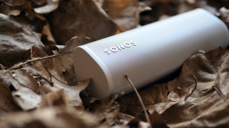 Sonos Roam in leaves