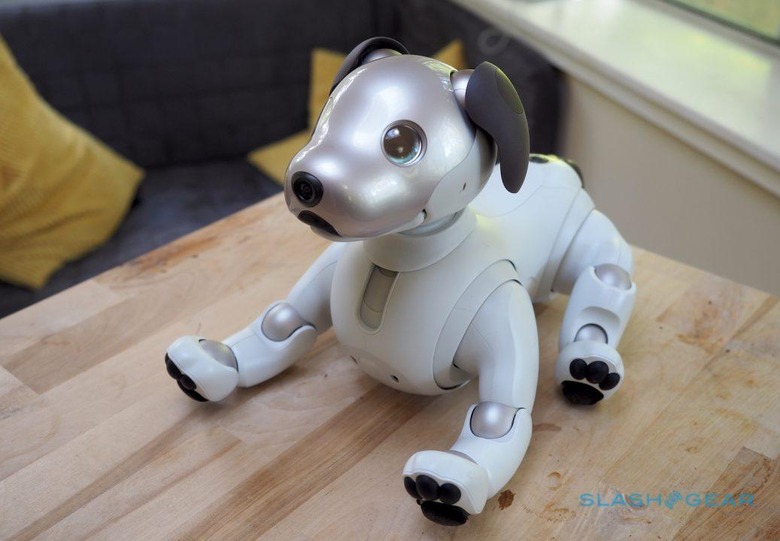 Sony Aibo Review: What It's Like To Live With a $2,900 Robot Dog