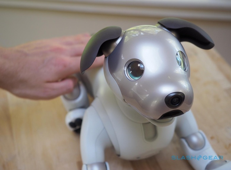 Sony Aibo Review: What It's Like To Live With a $2,900 Robot Dog