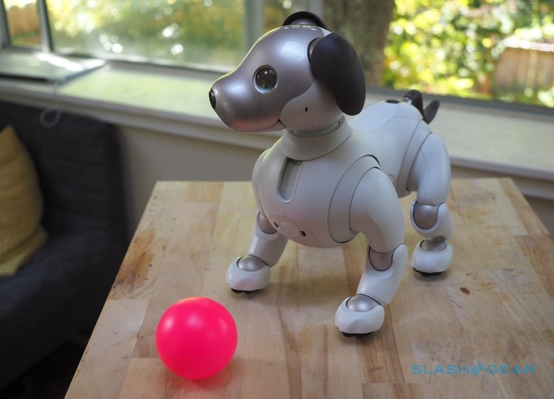 Sony Aibo Review: What It's Like To Live With a $2,900 Robot Dog