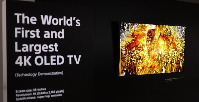 sony_56-inch_oled_tv_3