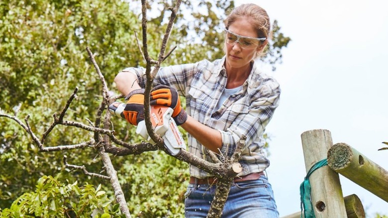 A person using a Stihl pruner on a tree.