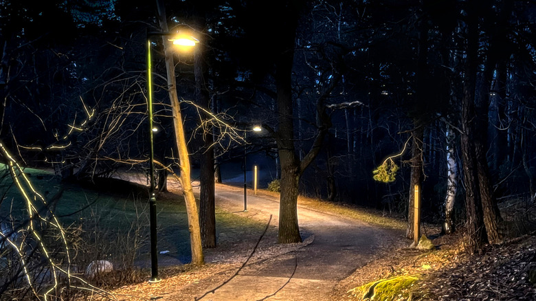 Årstaskogen nature reserve