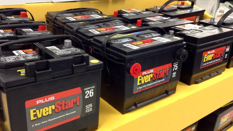 Plus EverStart batteries lined up on a shelf.