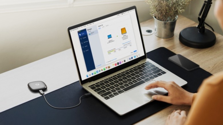 Person using laptop with Synology BeeDrive connected