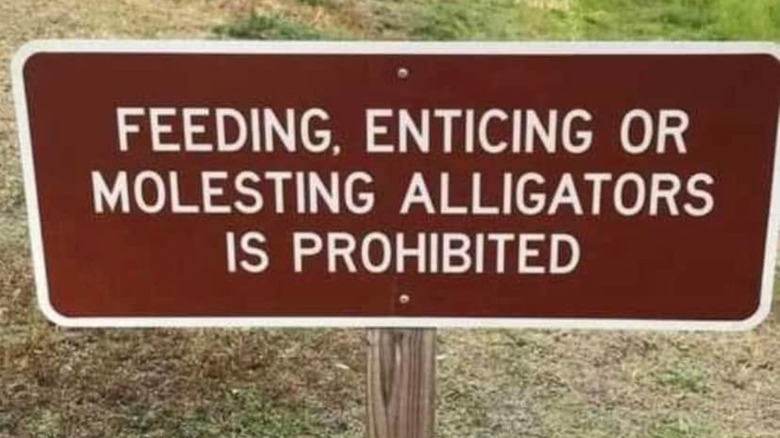 A sign reading "Feeding, Enticing, or Molesting Alligators is Prohibited" in Texas.