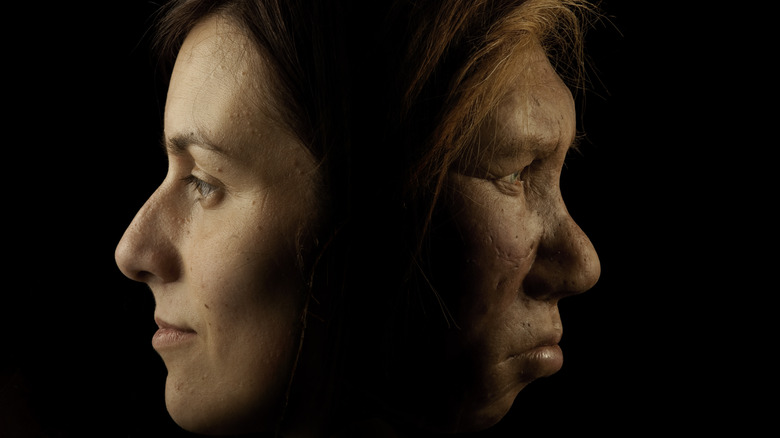 The faces of a woman and a recreation of a female neanderthal back to back