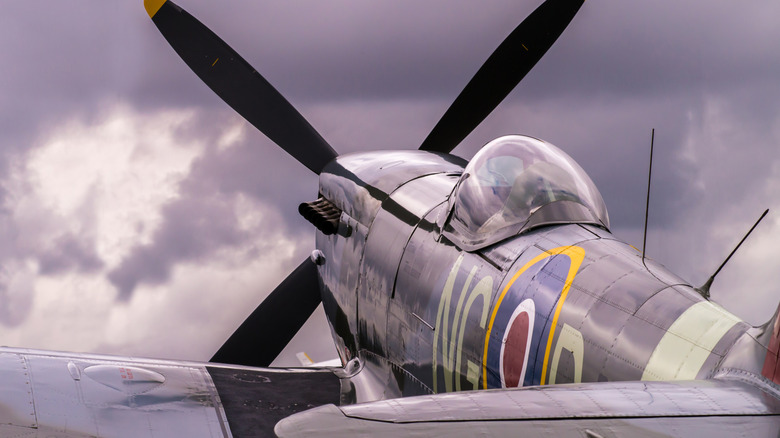 Supermarine Spitfire back view