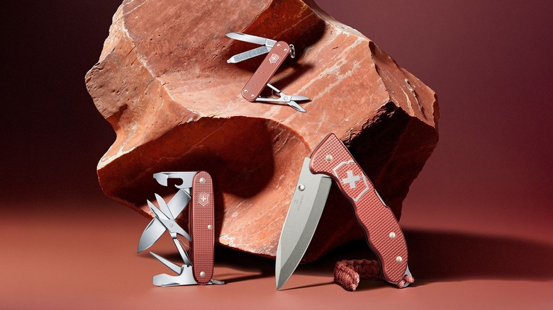 different sizes of Swiss Army Knife models
