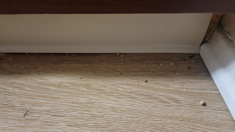 dirty floor below kitchen cabinets