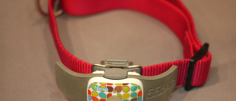 Tagg The Pet Tracker Hands On SlashGear