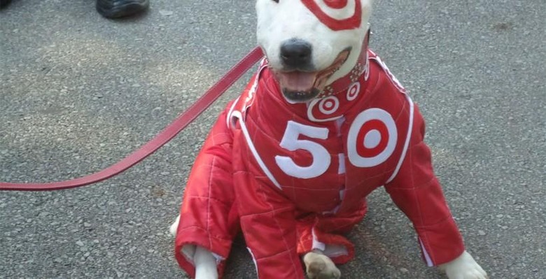 target-dog