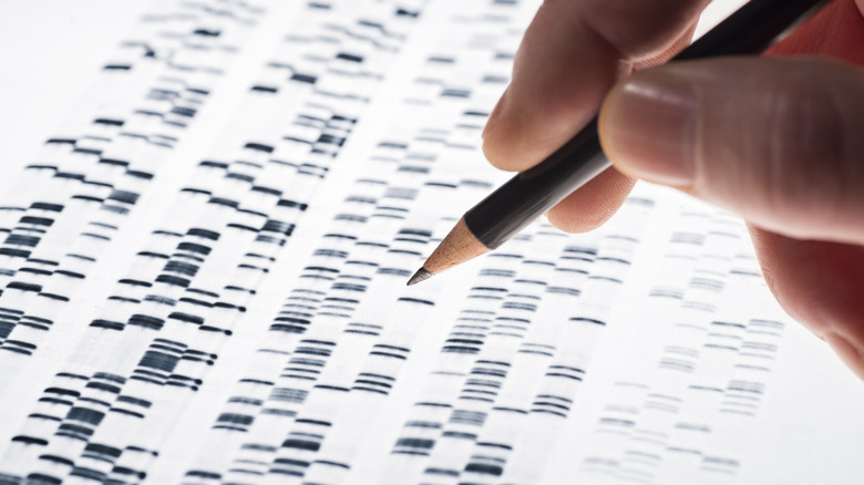 Examinando sequências de DNA