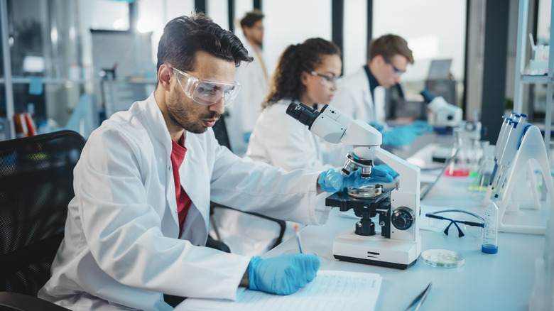 Microscope in use at medical laboratory