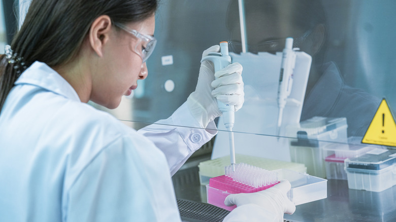 Molecular biologist at work