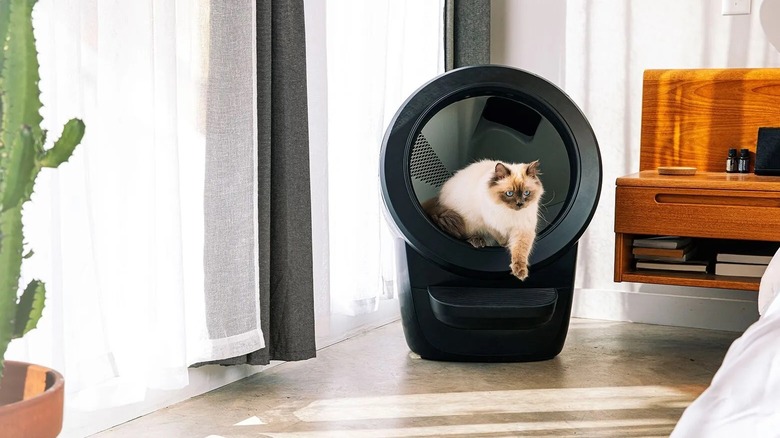 Litter-Robot 4 litterbox
