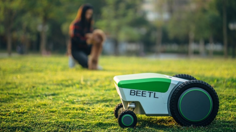 Poop-scooping robot