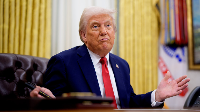 President Donald Trump in the White House