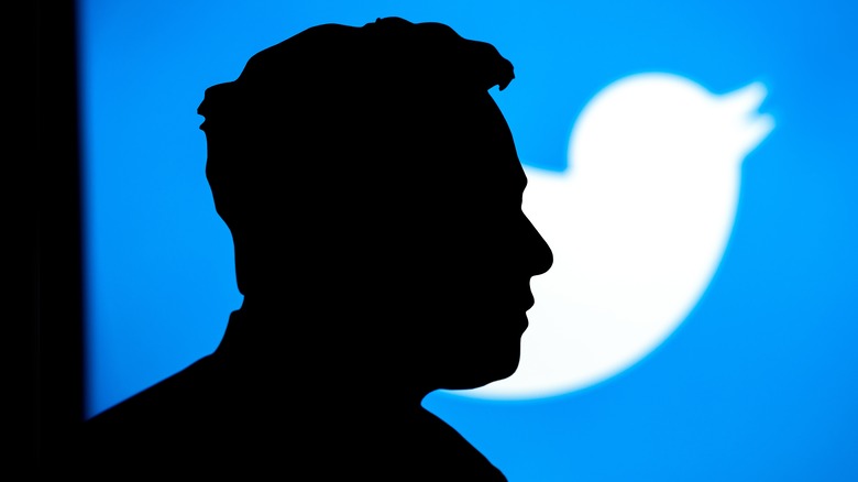 Elon Musk silhouette with Twitter logo