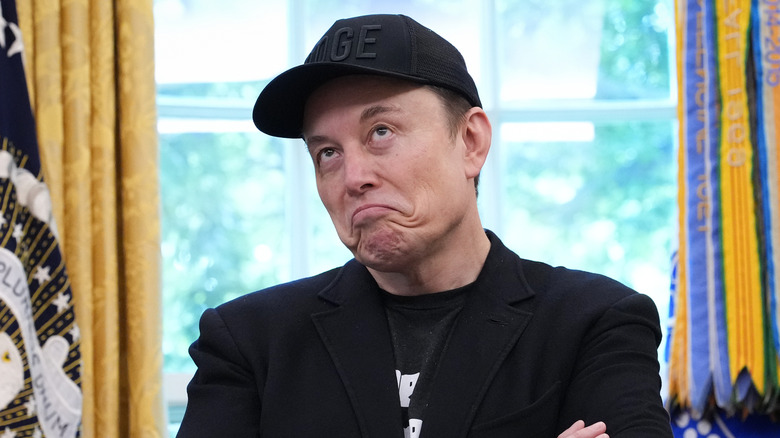 Portrait of Tesla CEO Elon Musk at the White House