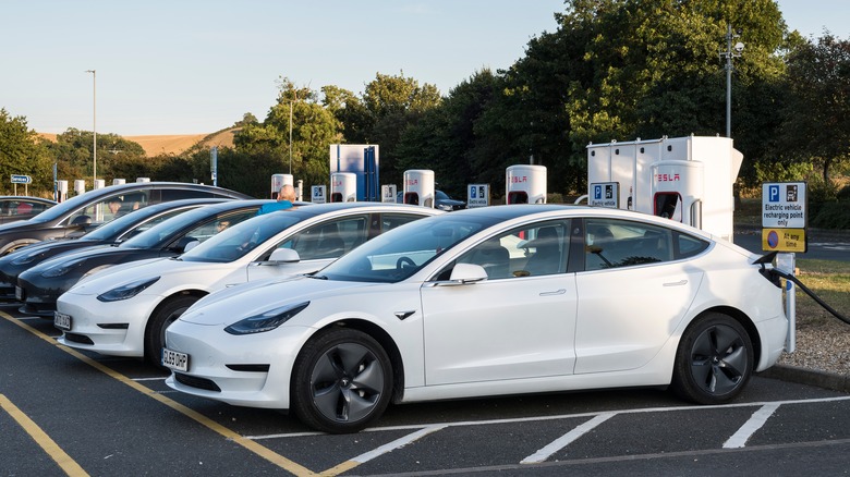 Tesla vehicles parked near chargers
