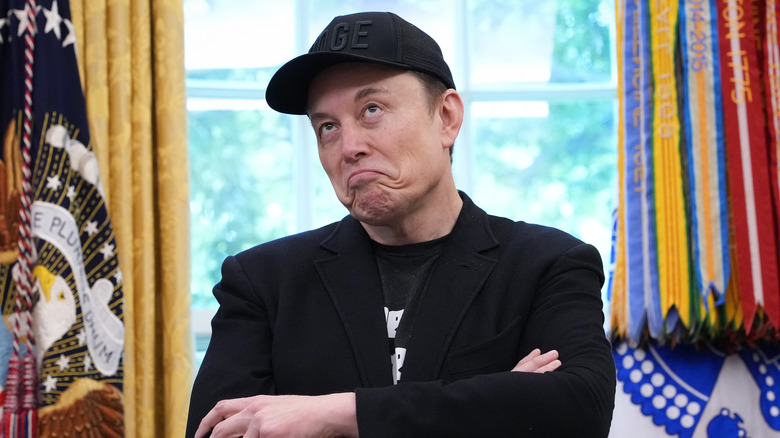 Elon Musk in the White House
