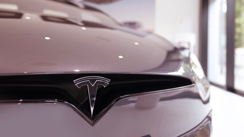 Close-up of a white Tesla Model X front grille and logo
