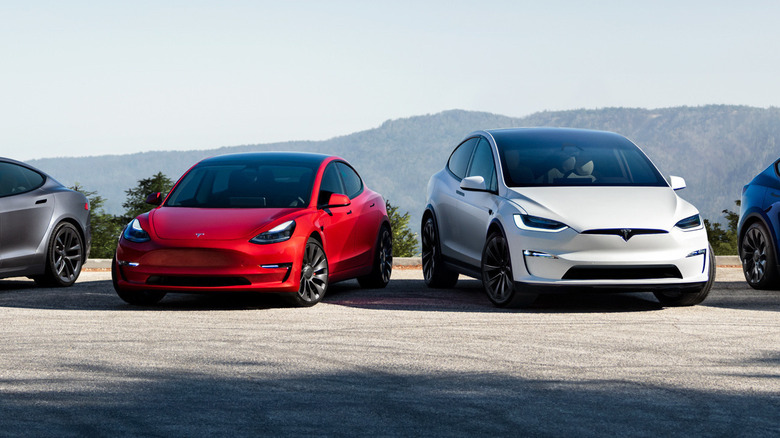 Tesla electric cars parked in row