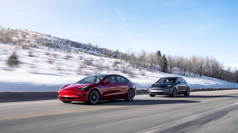 Tesla Model 3 and Model Y driving