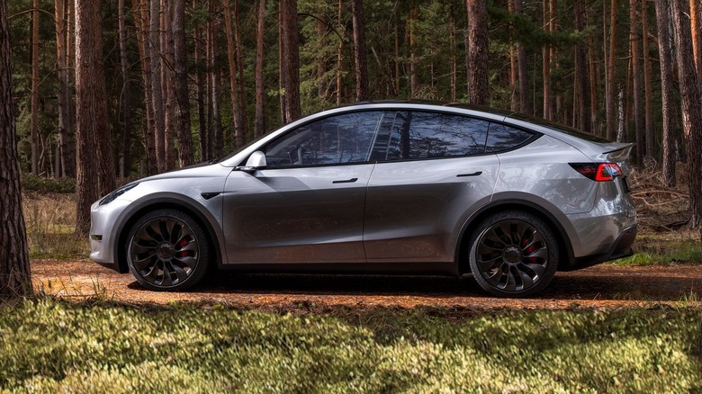 Tesla Model Y in silver