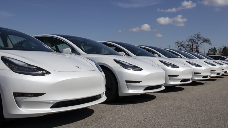 Tesla Model 3s in a delivery lot