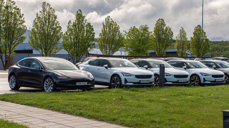 Polestar 2 cars parked next to Tesla Model 3 